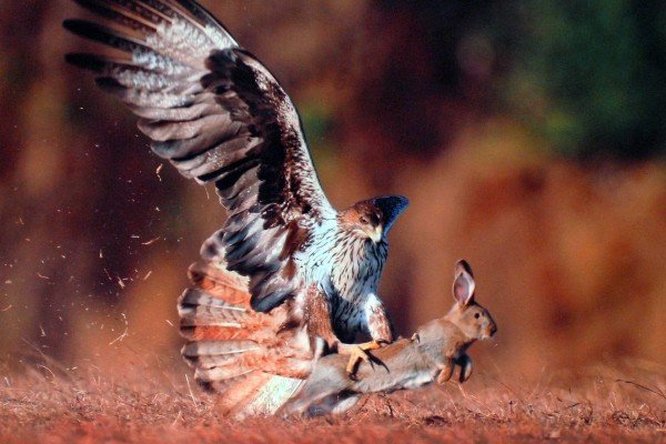 3rd-Award----Vidyadhar-Shelke,-Belgaum