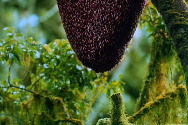 Consolation-Prize--Benny-Ajantha---Pathanamthitta