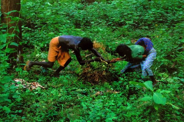 Consolation---'Raw-Drug'-Ajay-Saga,-Malappuram