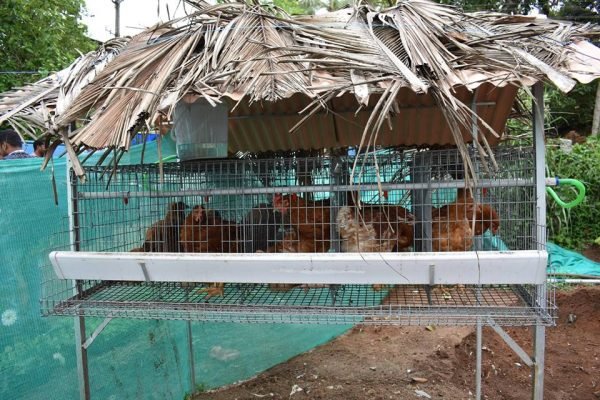 18953036_1095984213865200_8652008254487546961_n