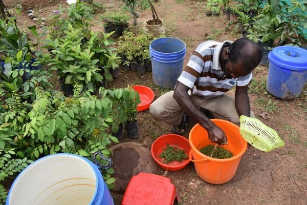 19029725_1095983610531927_7212174505496146409_n