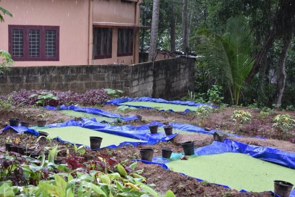 19060216_1095983390531949_5950267117646840059_n