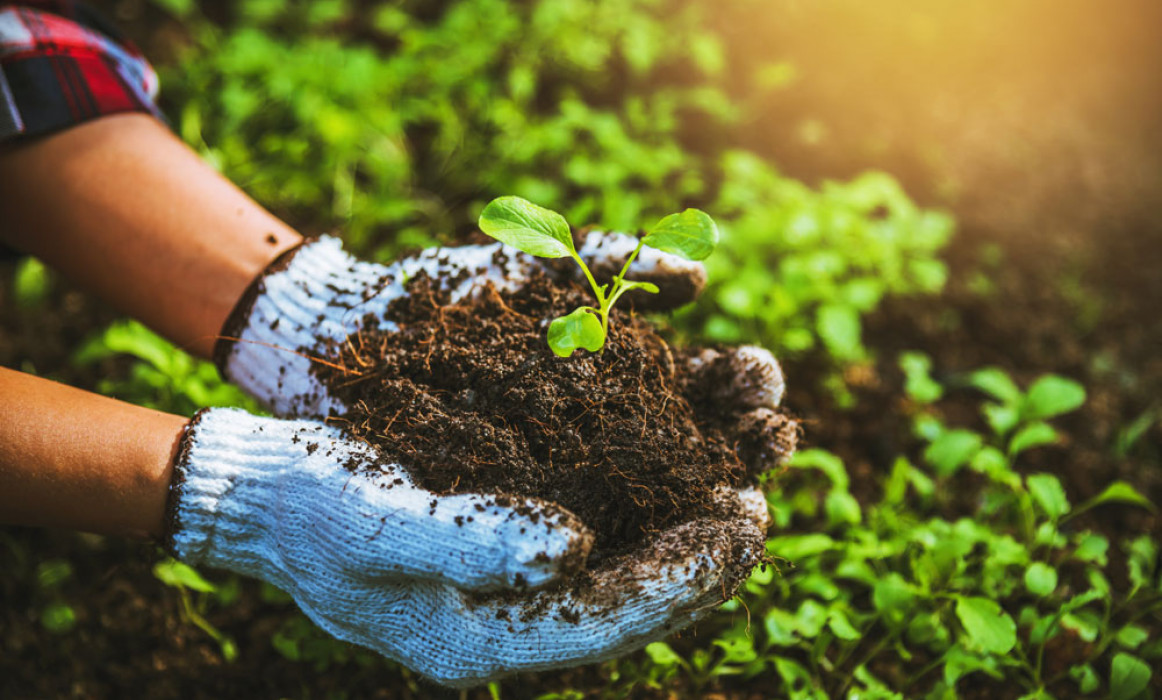 Organic Agricultural Promotion Programmes (ShreshtaKrishi)