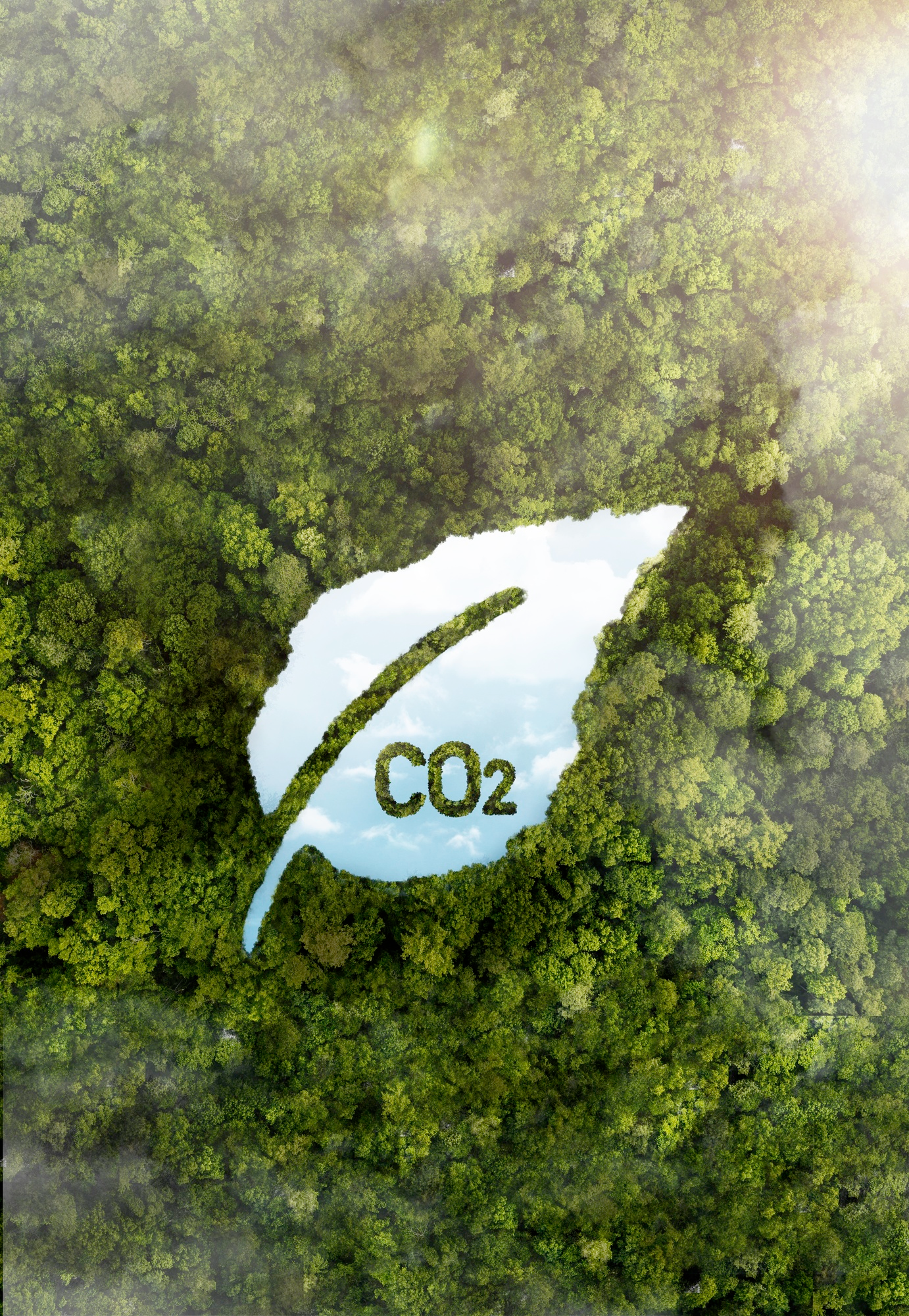 Estimation of Carbon Footprint in School Campuses and Creation of Low Carbon School Campus Plans for Individual Schools…