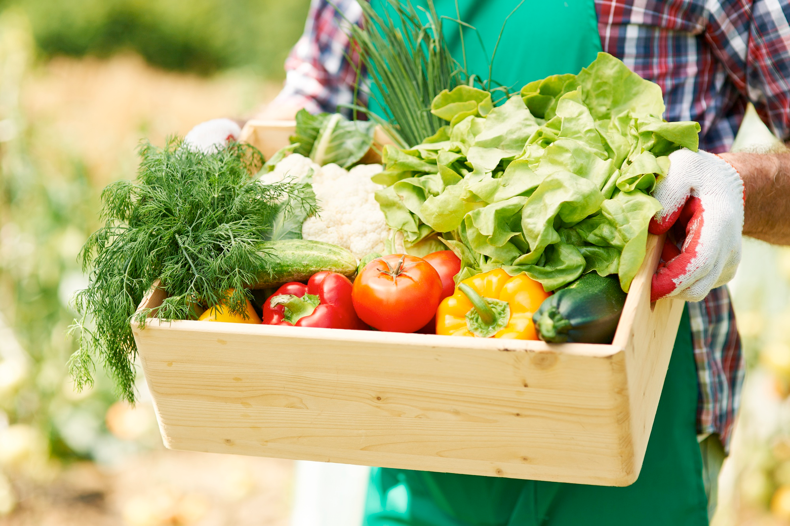 Acceleration of sustainable organic farming in Thiruvananthapuram District through establishment of…